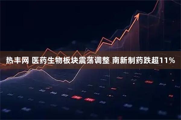 热丰网 医药生物板块震荡调整 南新制药跌超11%