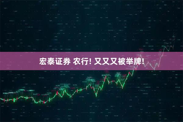 宏泰证券 农行! 又又又被举牌!