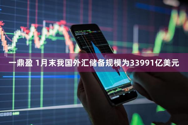 一鼎盈 1月末我国外汇储备规模为33991亿美元